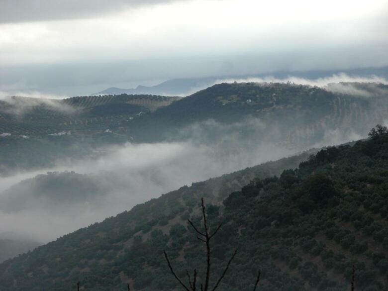 Bed & Breakfast Cortijo La Haza