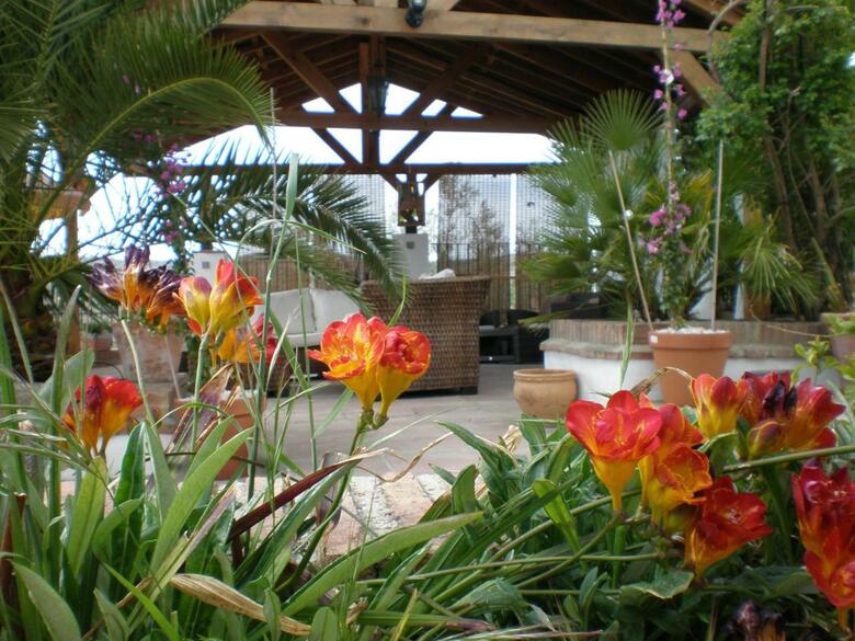 Bed & Breakfast Cortijo La Haza