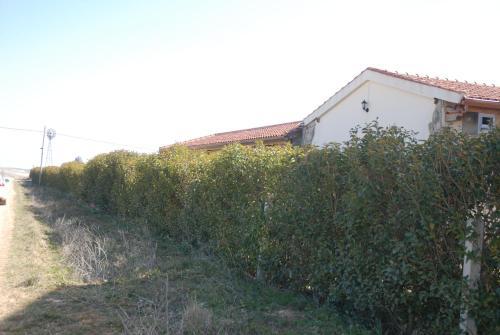 Hotel Rural Teso De La Encina