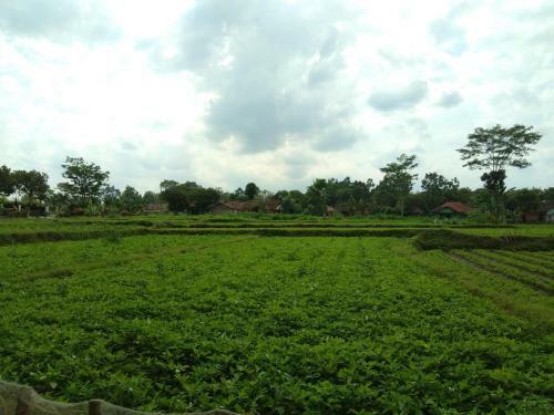 Hexa Dalangan