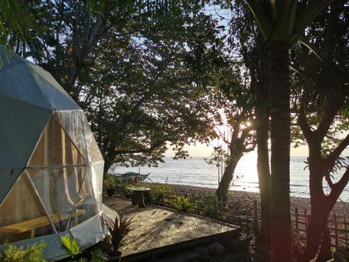 Glamping Dome Dauin Beach + Dive Resort
