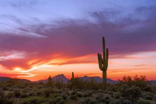 Desert View