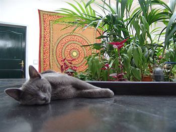 Bed & Breakfast Kalindi