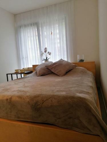 Hostal Paula*