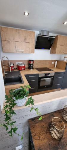 Apartamento Ferienwohnung Rabsteine