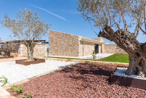Villa Pura Vida Petit