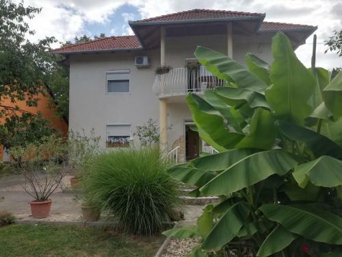 Szilvia Apartman
