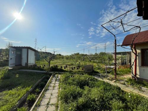 Green Oasis House