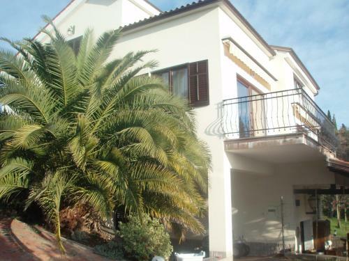Apartma Aleksandra