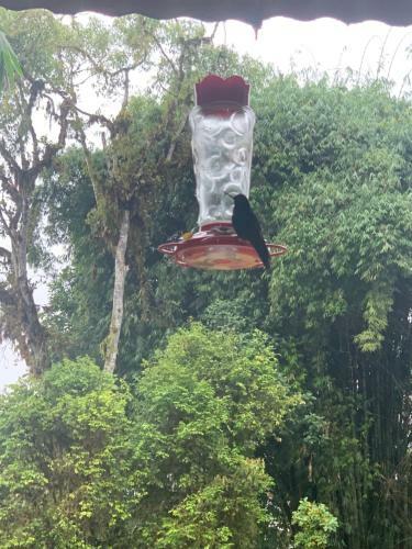 Bed & Breakfast Aldea Para�so Dorado