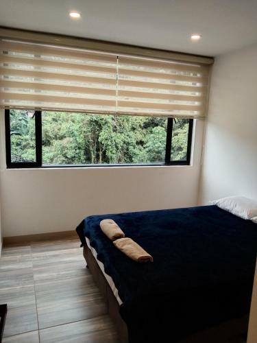 Hermoso Apartamento- La Vega
