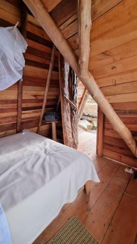 Hostal Pisteo Dome