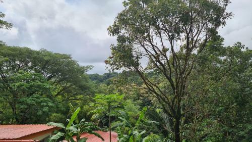 Finca Lucky, Samara