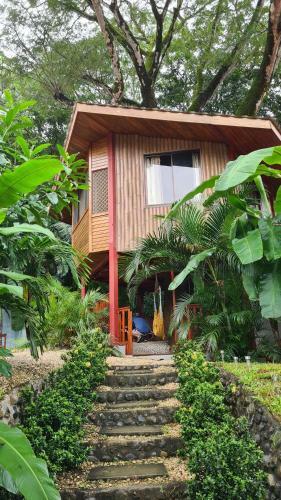 Finca Lucky, Samara