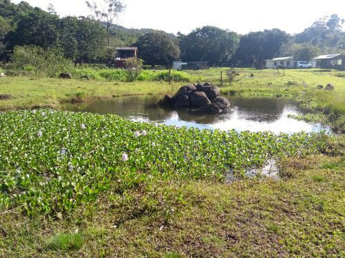 Apartamento Caba�a Ecolog�a Rodeada De Naturaleza