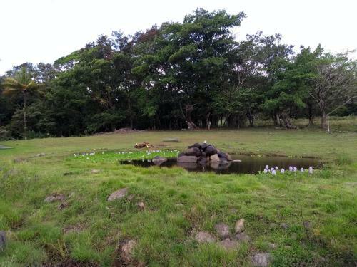 Apartamento Caba�a Ecolog�a Rodeada De Naturaleza