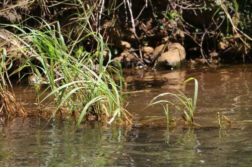 Apartamento Caba�a Ecolog�a Rodeada De Naturaleza