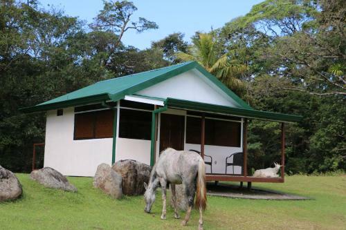 Apartamento Caba�a Ecolog�a Rodeada De Naturaleza