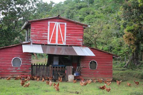 Apartamento Caba�a Ecolog�a Rodeada De Naturaleza