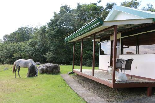 Apartamento Caba�a Ecolog�a Rodeada De Naturaleza