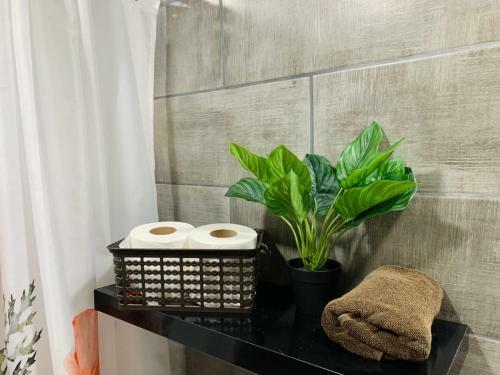 Apartamento Elena Brown