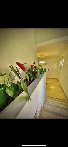 Villa Casa En El Poblado Independiente - San Sebastian