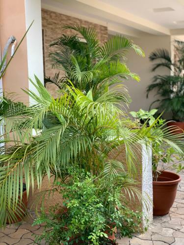 Apartamento Serenity Nest