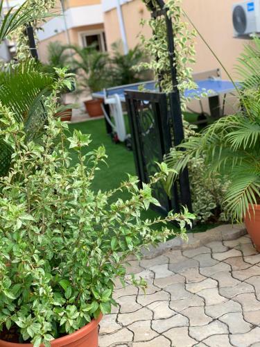 Apartamento Serenity Nest