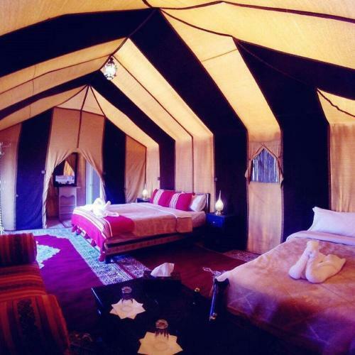 Night Desert Luxury Camp