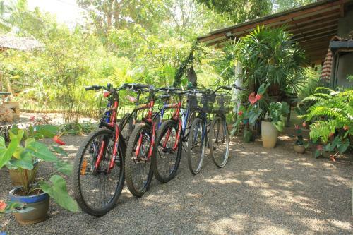 Udara Gajashakthi Hide Out Hostel