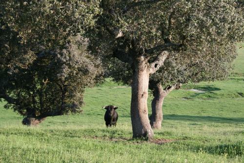 Casa Rural La Cuadra�