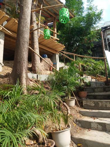 Bed & Breakfast Casita Kubo
