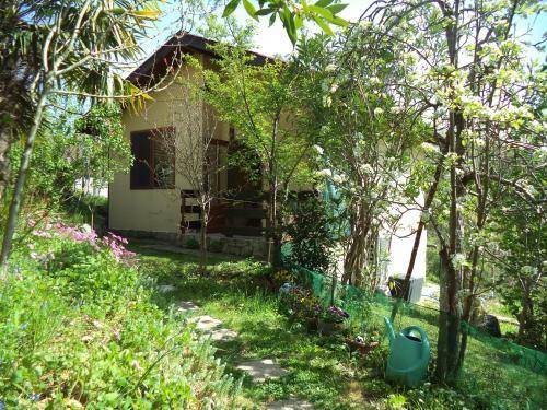 Yellow Villa