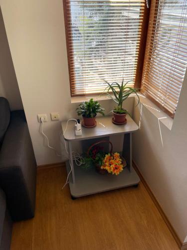 Apartment Top Center