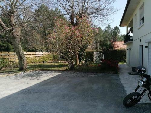 Charmente Maison Joliment Arbor�e.