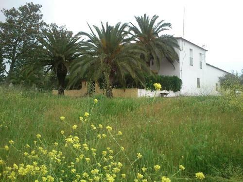 Villa Casa Rural Cortijo El Ramito