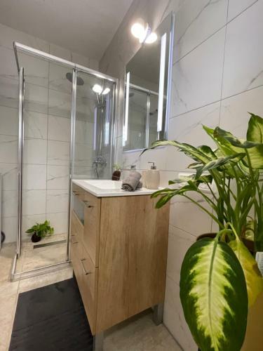 Apartamento Garza Blanca