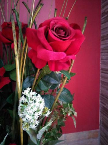 Apartamento Rosa Roja