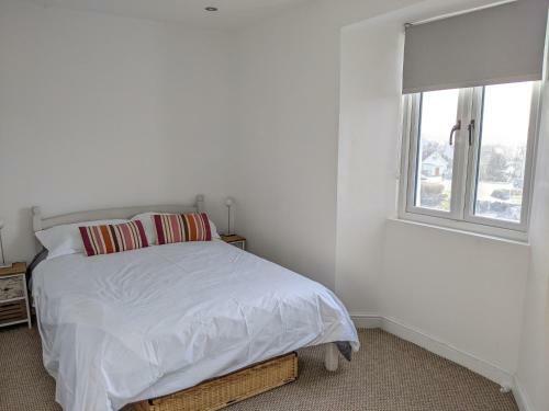 Millmoor Cottage - Broad Haven