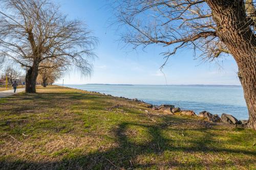 Mf Top Panorama Apartment - Cirk�l� 708