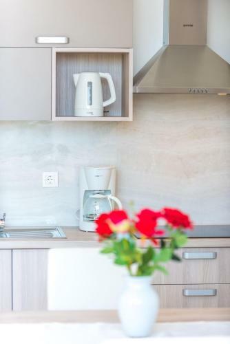 Apartamento Villa Svagusa II