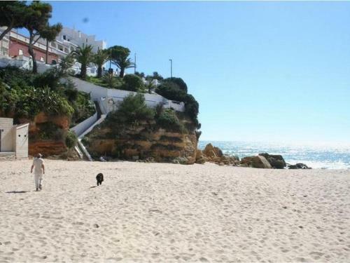 Apartamento Casa Located Above Carvoeiro Beach!