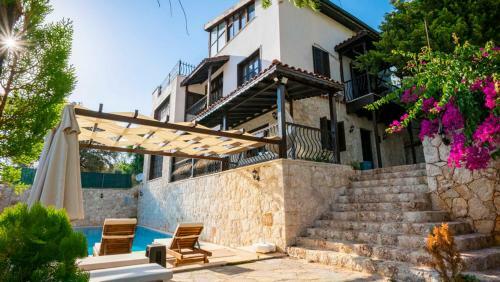 Villa Elfu