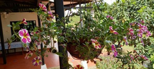 Agroturismo Finca Trochez