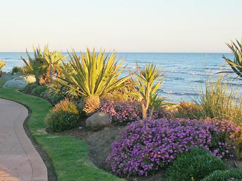 Apartment Las Salinas Estepona