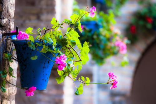 Bed And Breakfast Casa D�a Soleado