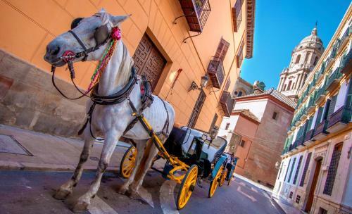 Bed And Breakfast Casa D�a Soleado