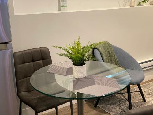 Hamm Suite