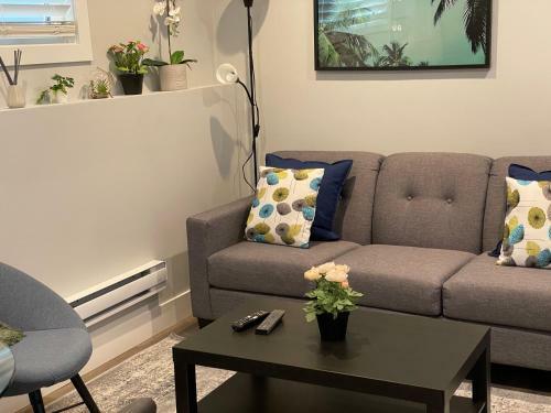 Hamm Suite