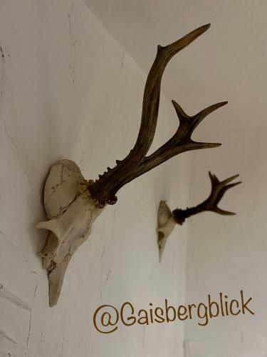 Apartamento Gaisbergblick